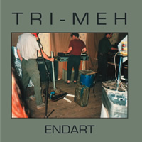 CD - Tri-Meh - Endart
